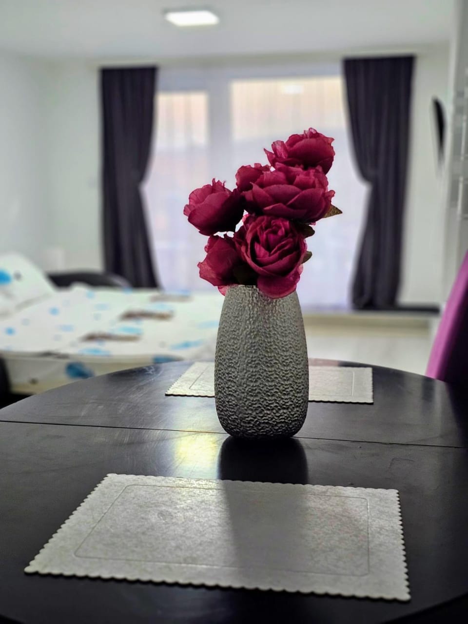Studio Dana Bed and Breakfast in Serbia