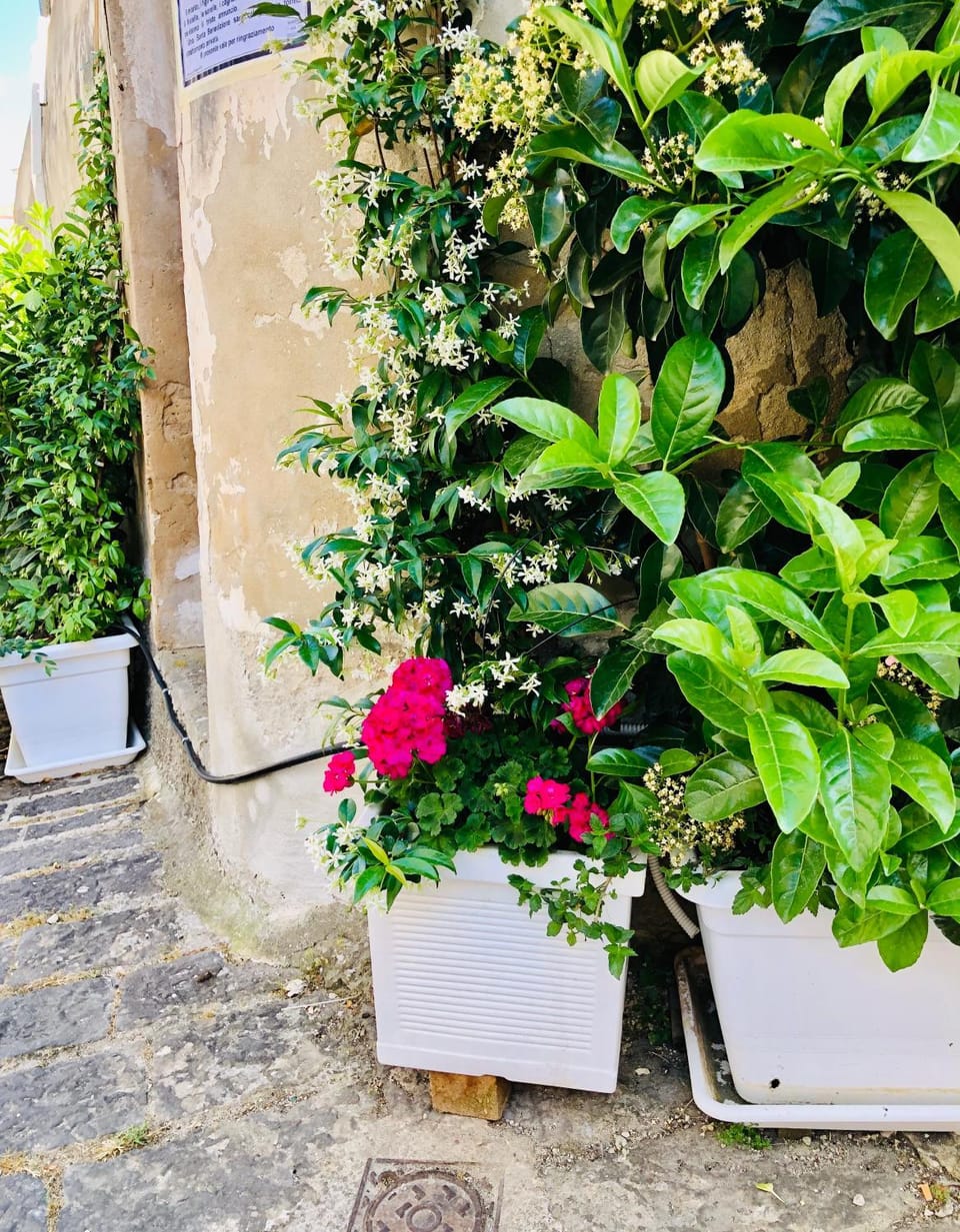 Spring, Garden view