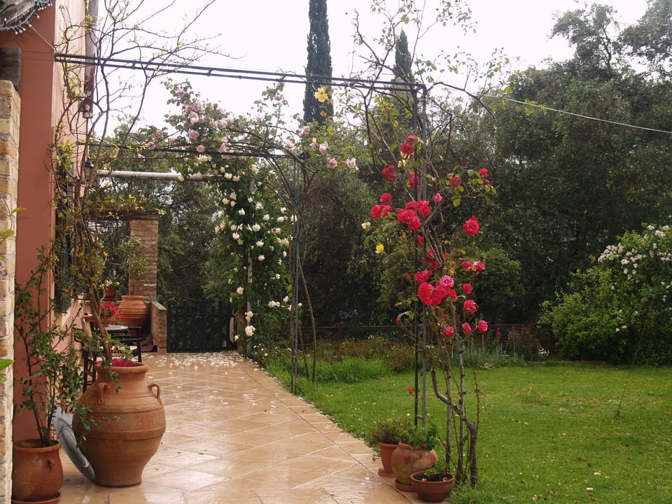 Villa Kardami -country house House in Corfu, Greece