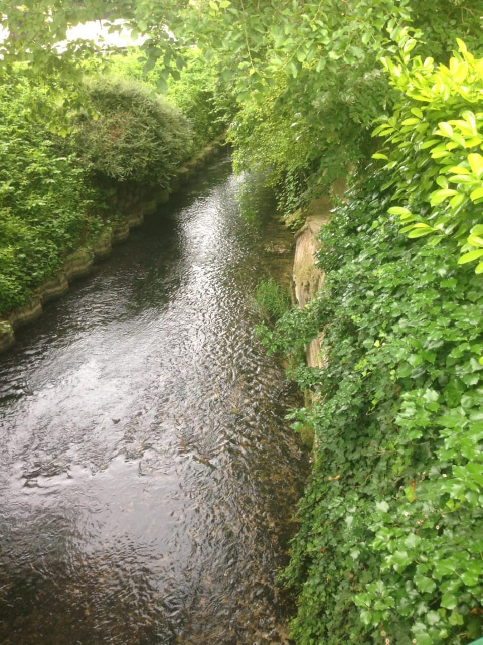 River view