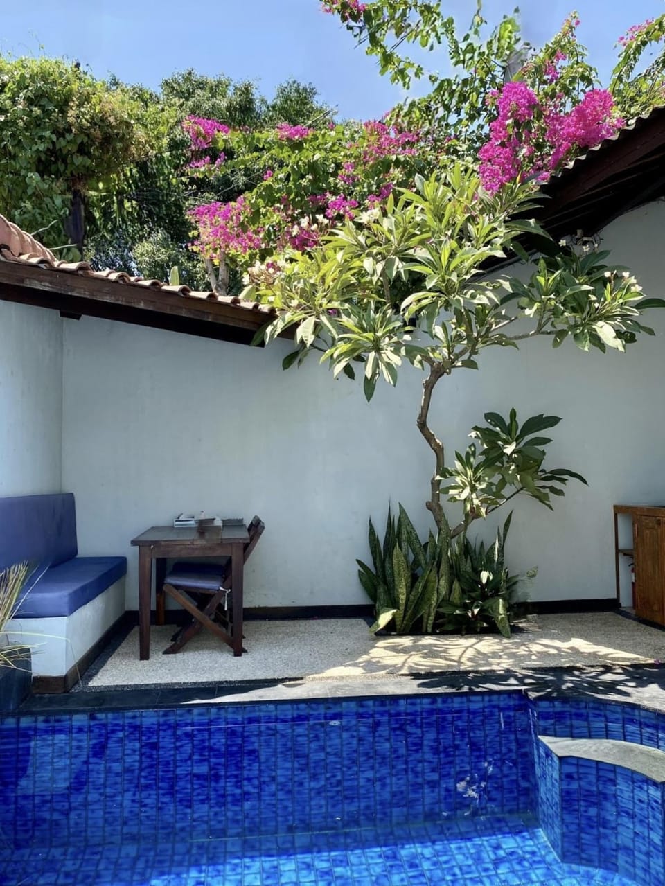 Patio, Day, Garden, Garden view, Pool view, Swimming pool
