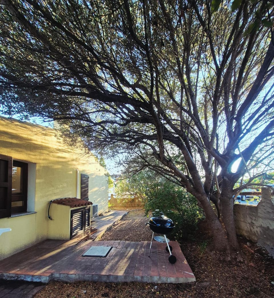 casa vacanza House in San Teodoro