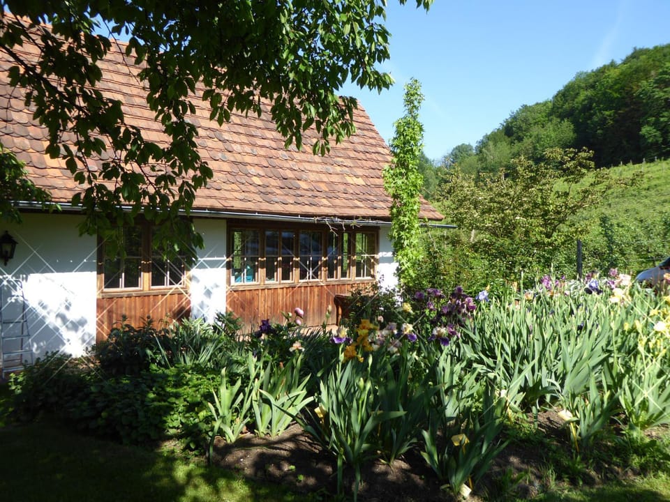Facade/entrance, Garden