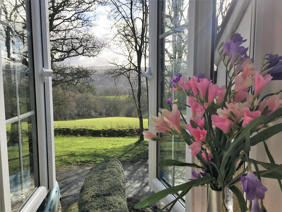 Property building, Day, Natural landscape, Winter, Garden, View (from property/room), On site, Garden view
