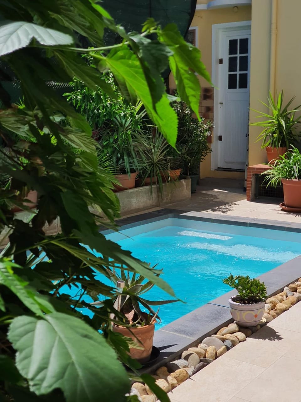 Garden view, Pool view