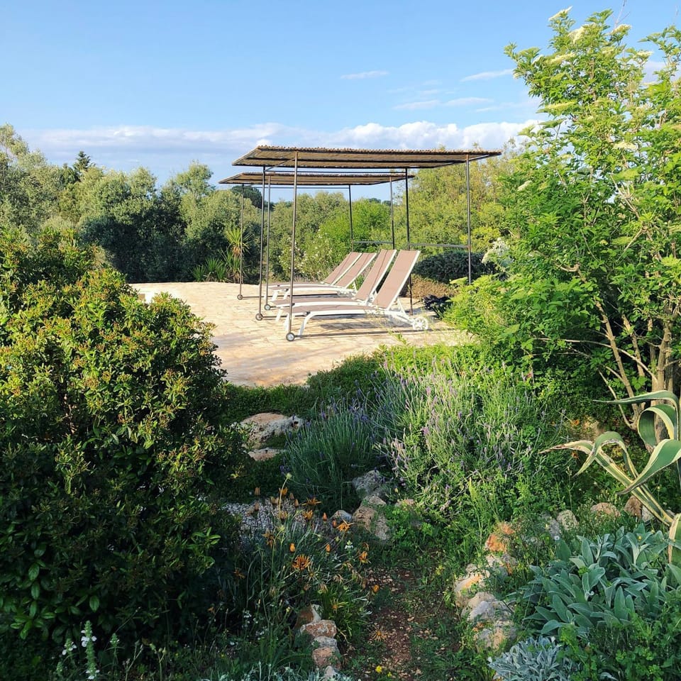 Natural landscape, Garden, Garden, Garden view, Pool view
