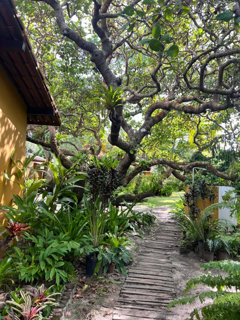 Pousada Terra Caraiva Inn in State of Bahia
