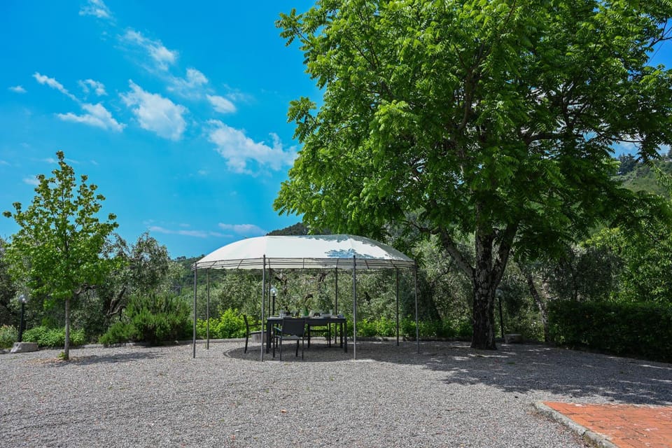 Spring, Day, Natural landscape, Garden, Garden view