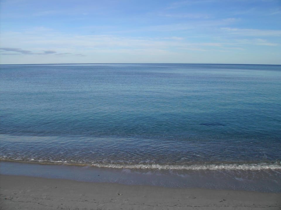 Natural landscape