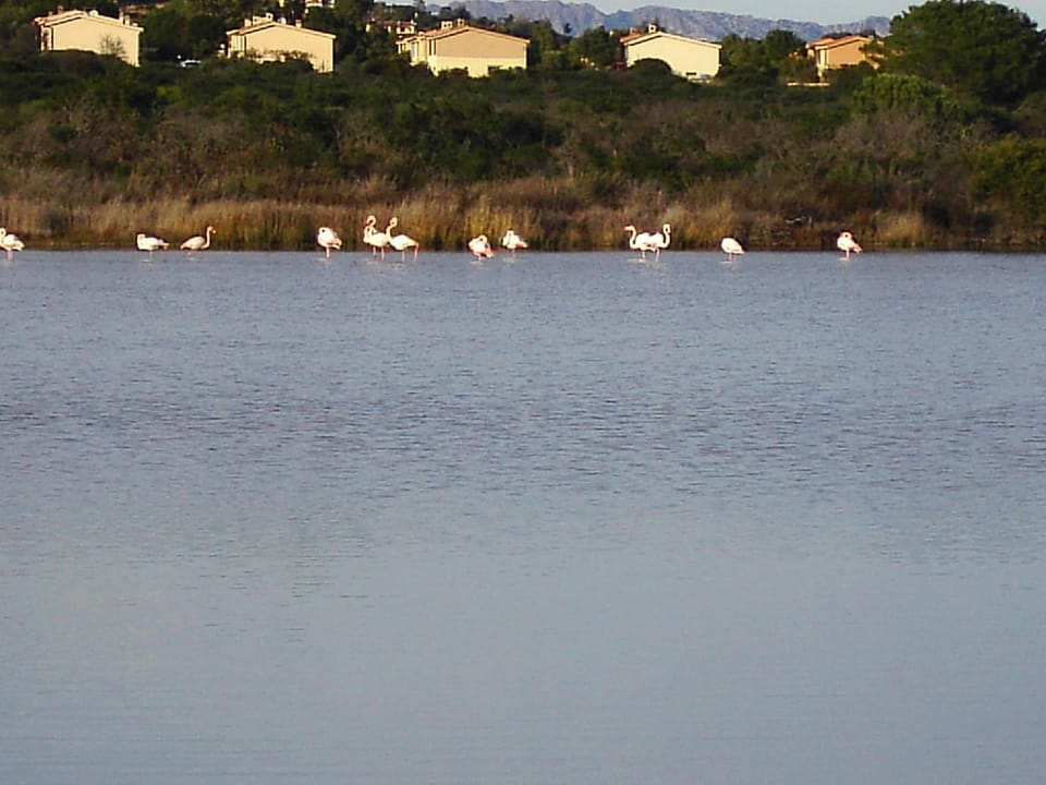Natural landscape