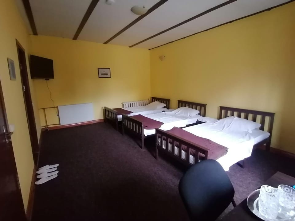Pensiunea Casa Benko Hostel in Moldova