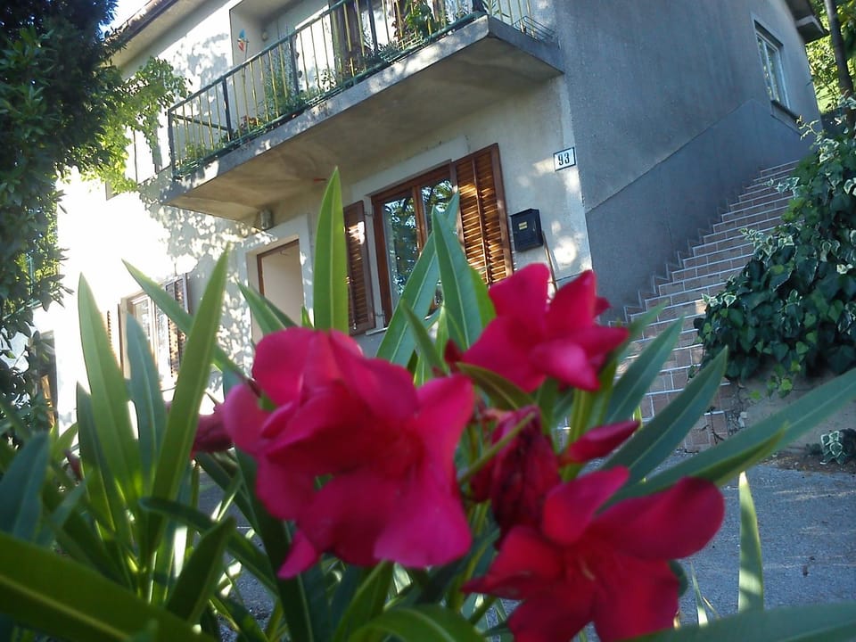 Facade/entrance, Neighbourhood