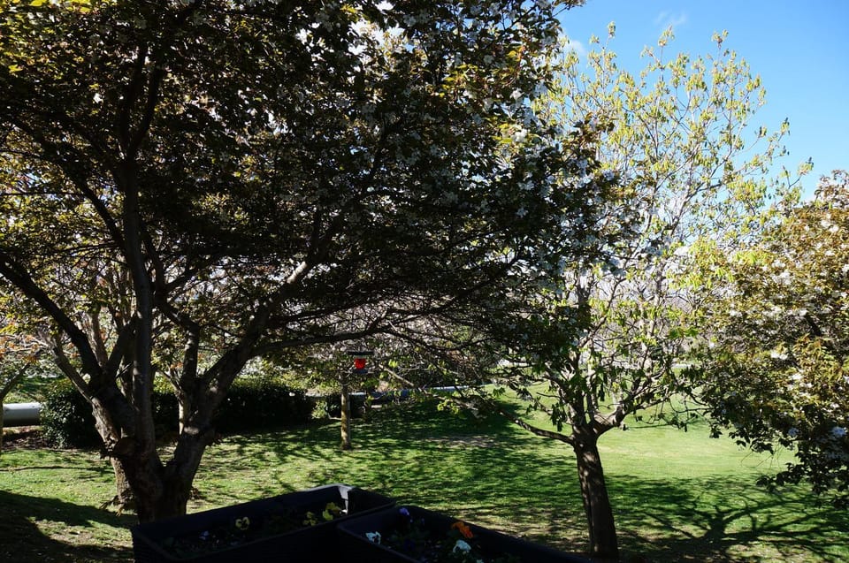 Property building, Garden, Garden view