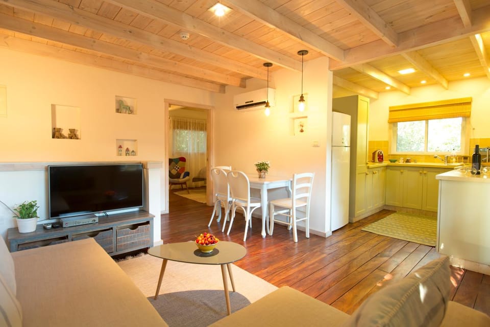 TV and multimedia, Kitchen or kitchenette, Living room, Photo of the whole room, Decorative detail, Dining area