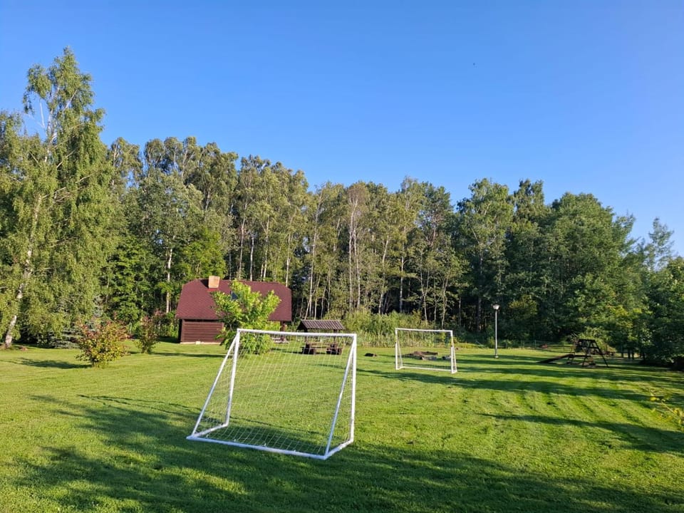 Day, Natural landscape, Activities