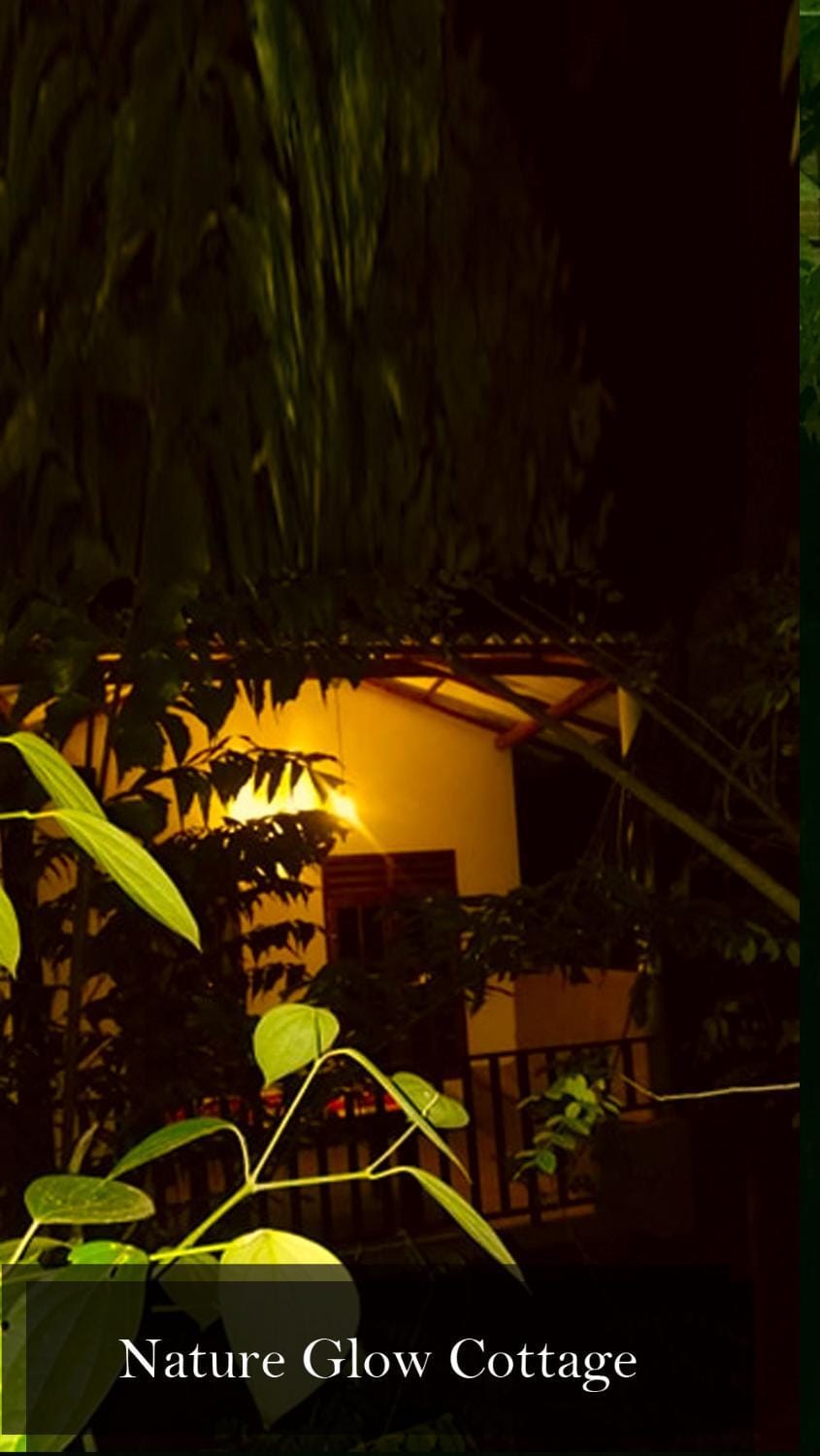Property building, Night, Garden, Garden view