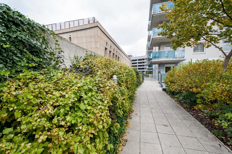 Property building, Neighbourhood, Garden, Street view