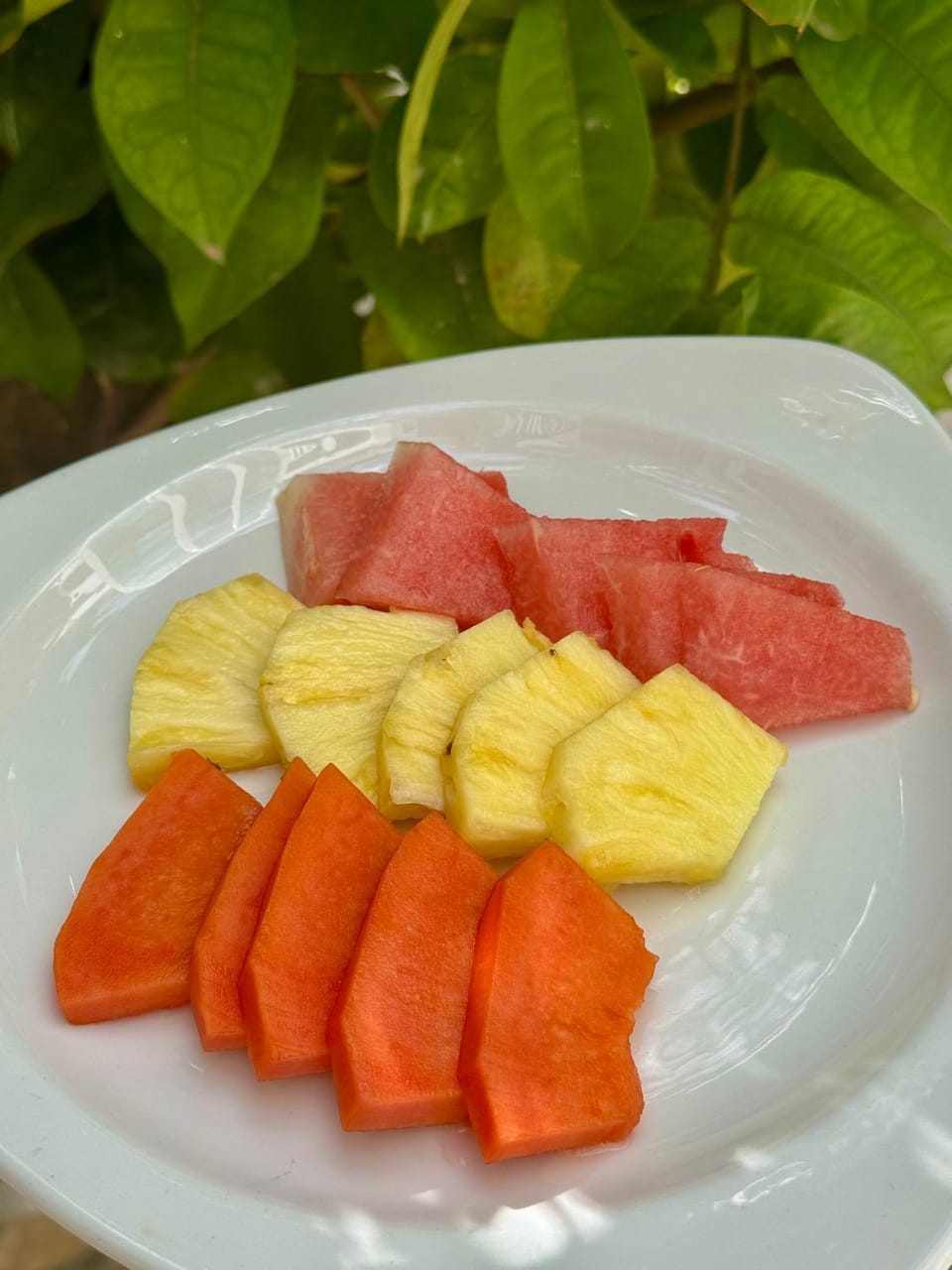 Breakfast, Continental breakfast