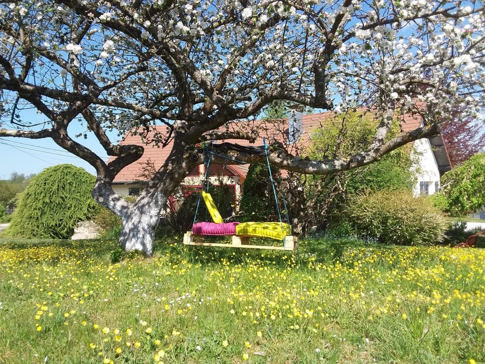 Le grivé Bed and Breakfast in Switzerland