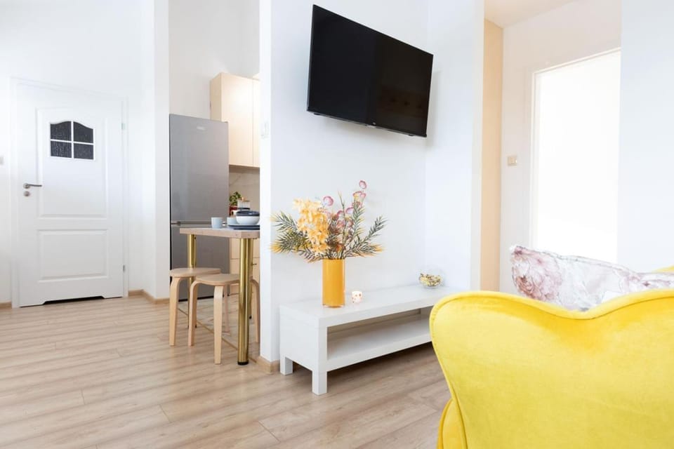 TV and multimedia, Balcony/Terrace, Kitchen or kitchenette, Living room, Photo of the whole room, Seating area, Family, furniture, heating, internet, kitchen