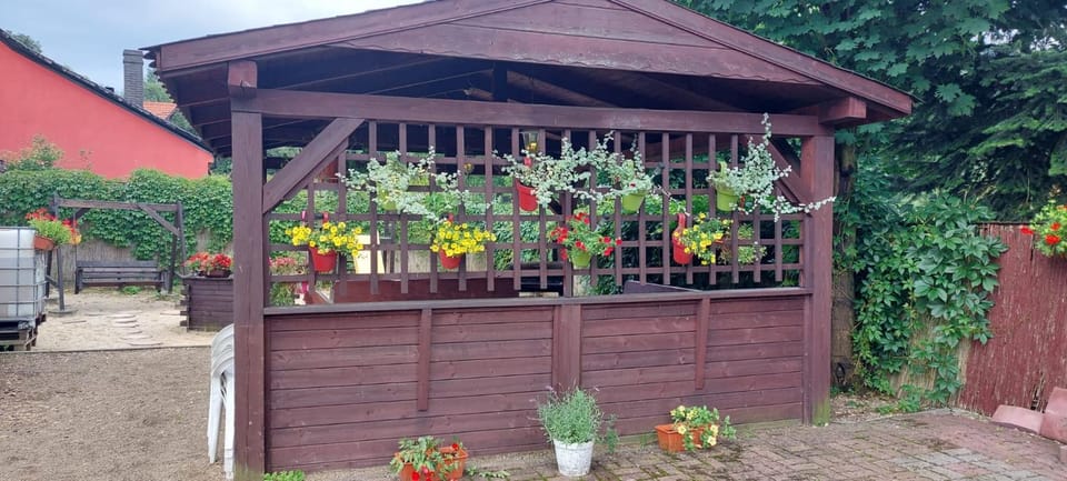 Patio, Garden