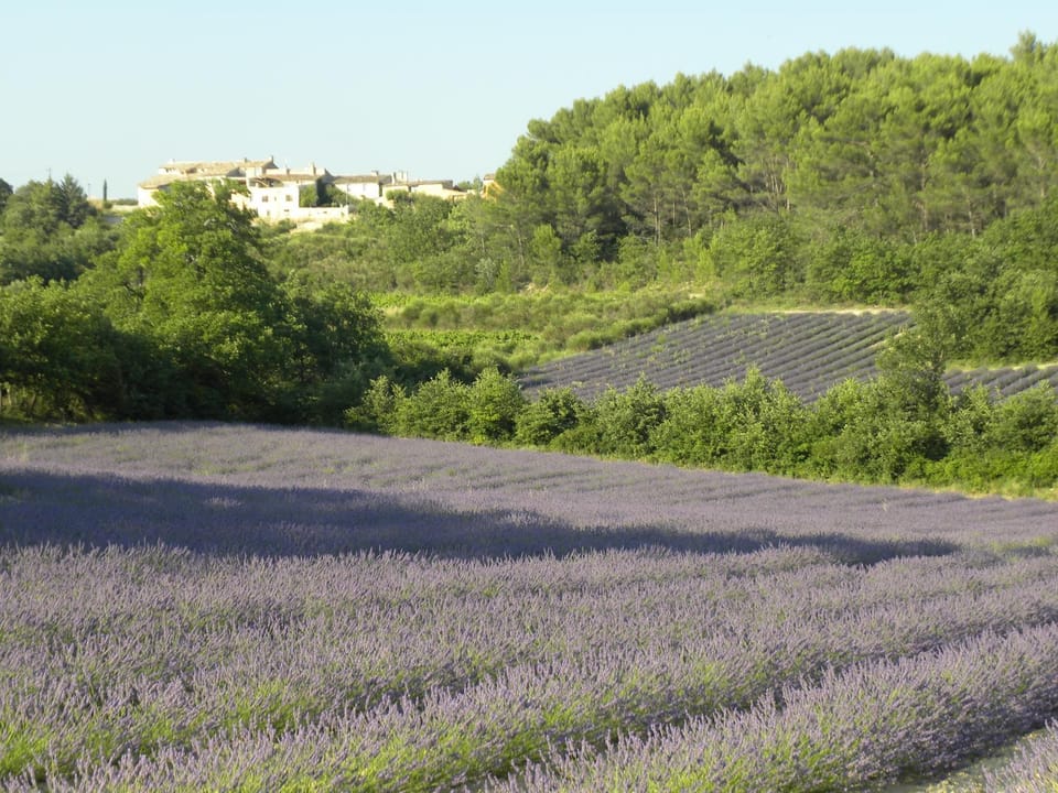 Natural landscape