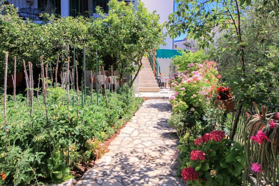 Natural landscape, Garden
