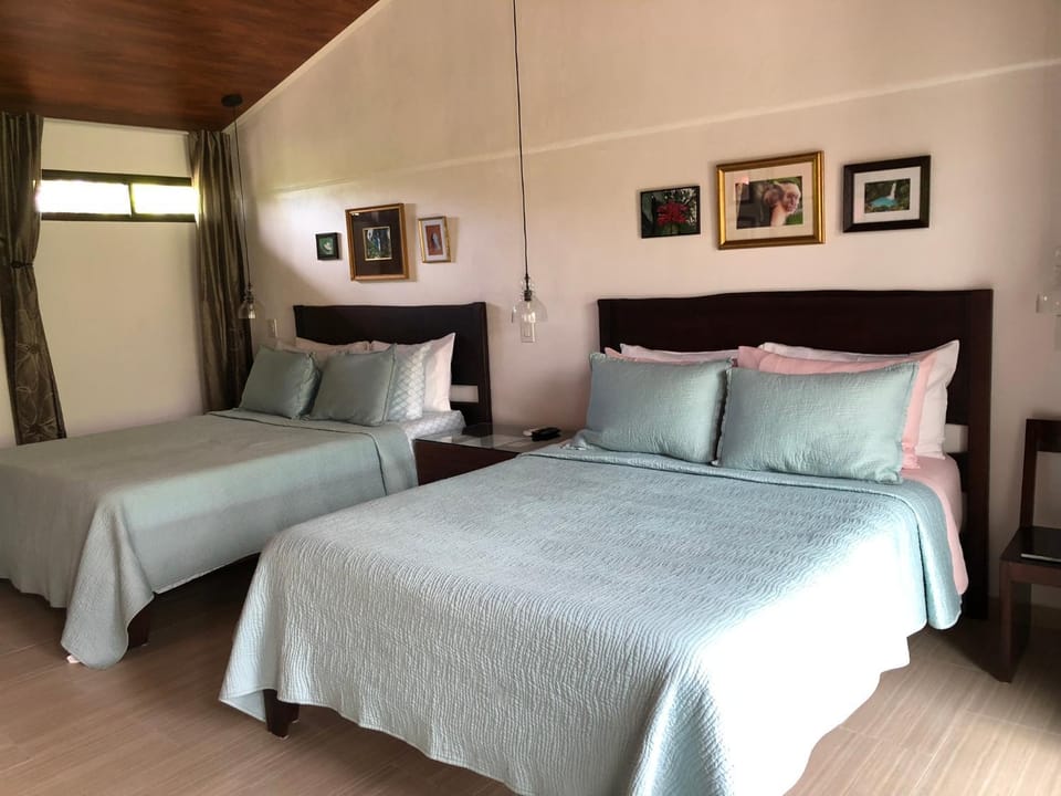 Bed, Photo of the whole room