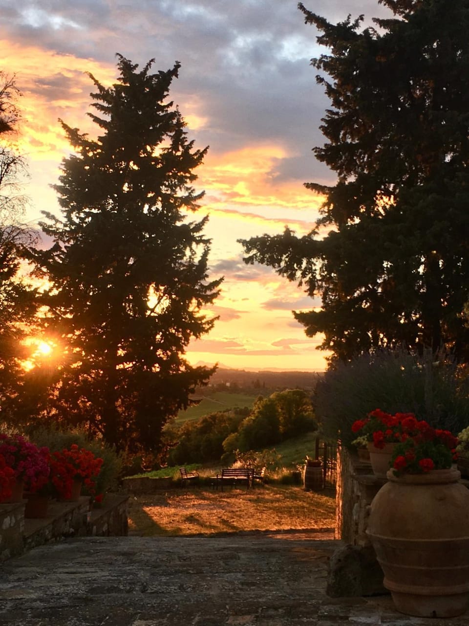 Garden, Sunset