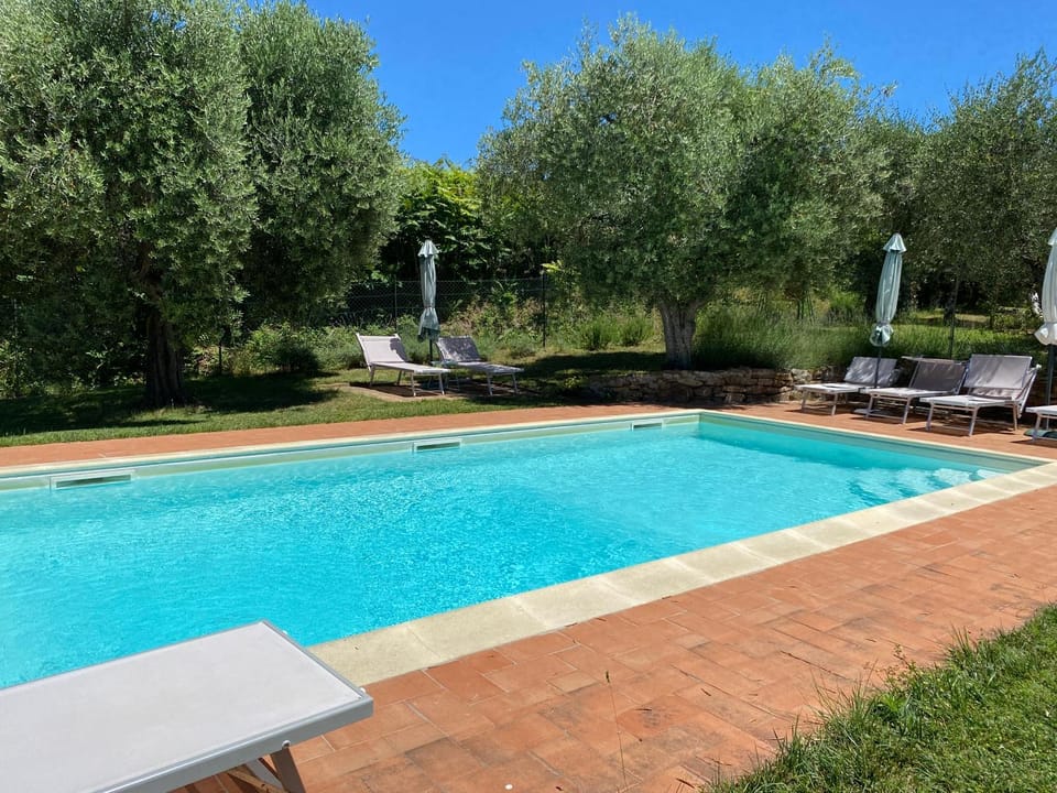 Garden, Pool view, Swimming pool, sunbed