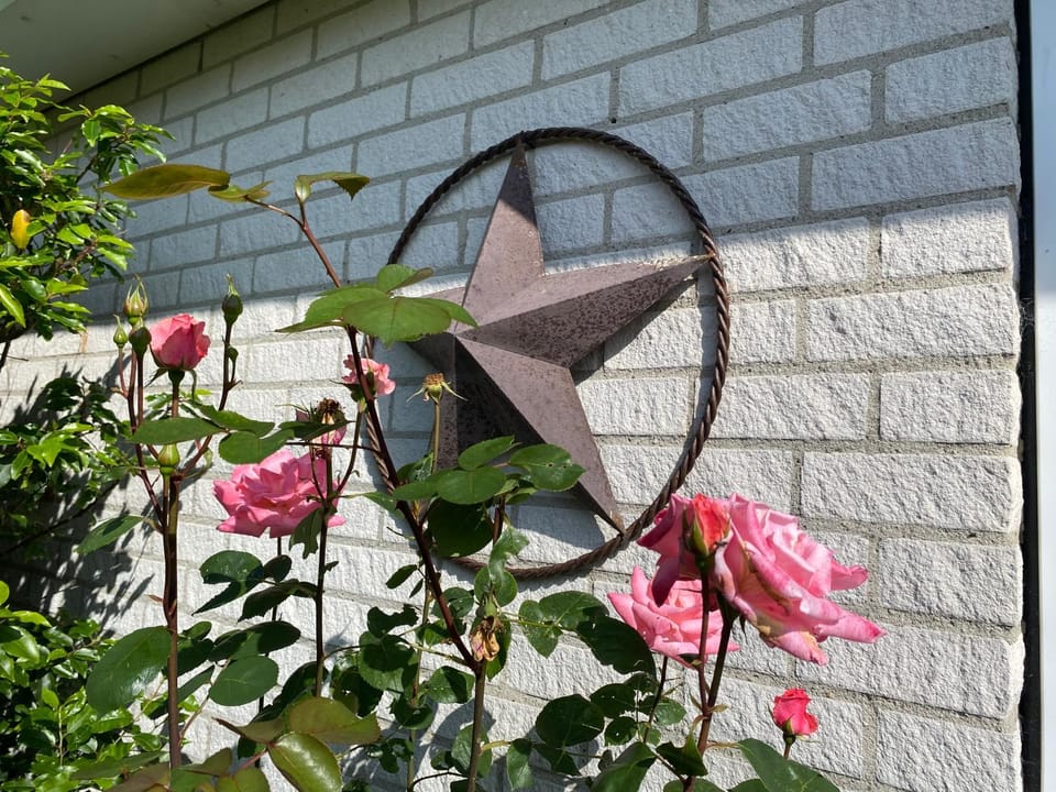 Lonestar Appartement Apartment in Burgh-Haamstede