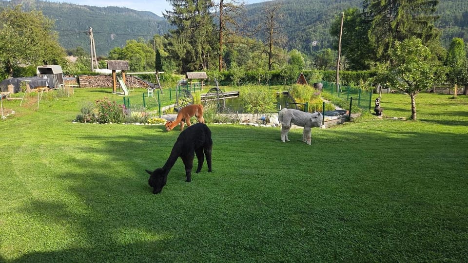 Domačija Loncnar Apartment in Slovenia