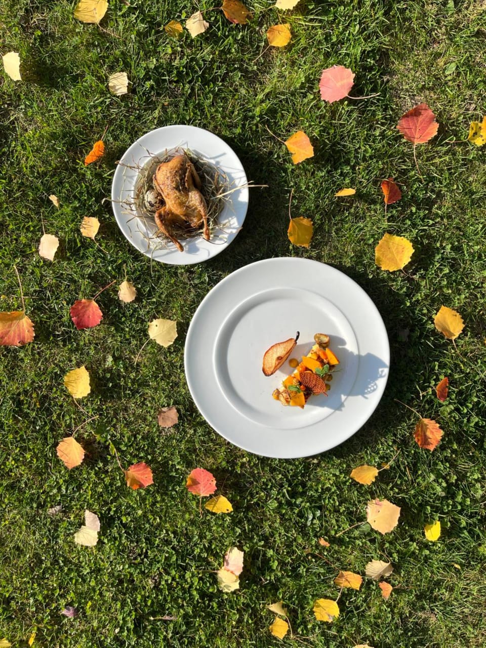 Penzion Kůlna Bed and Breakfast in South Moravian Region