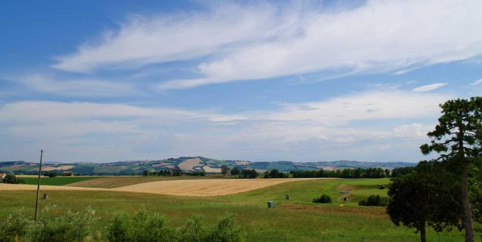 Property building, Natural landscape