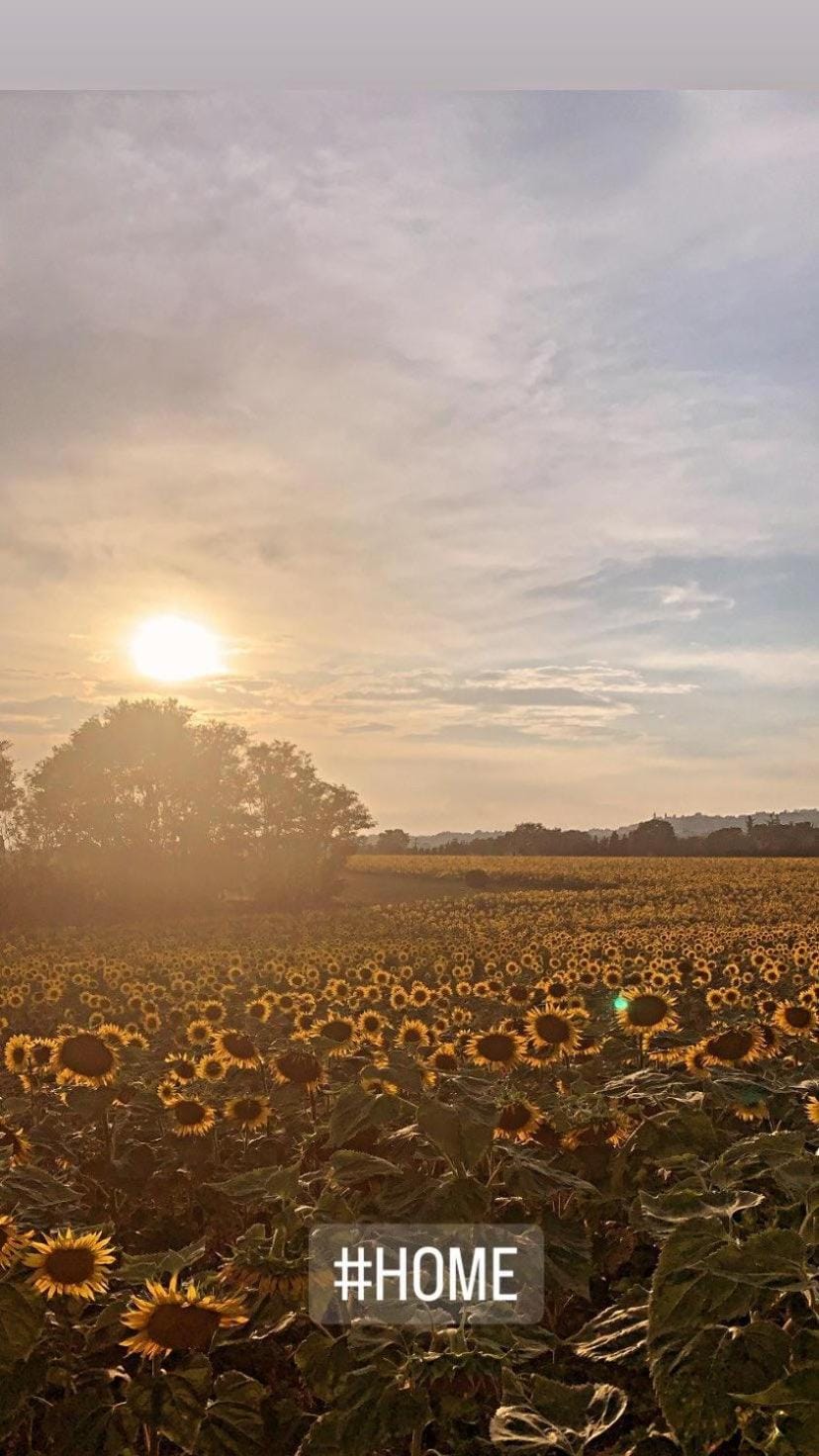 B&B Armonia Bed and Breakfast in Marche