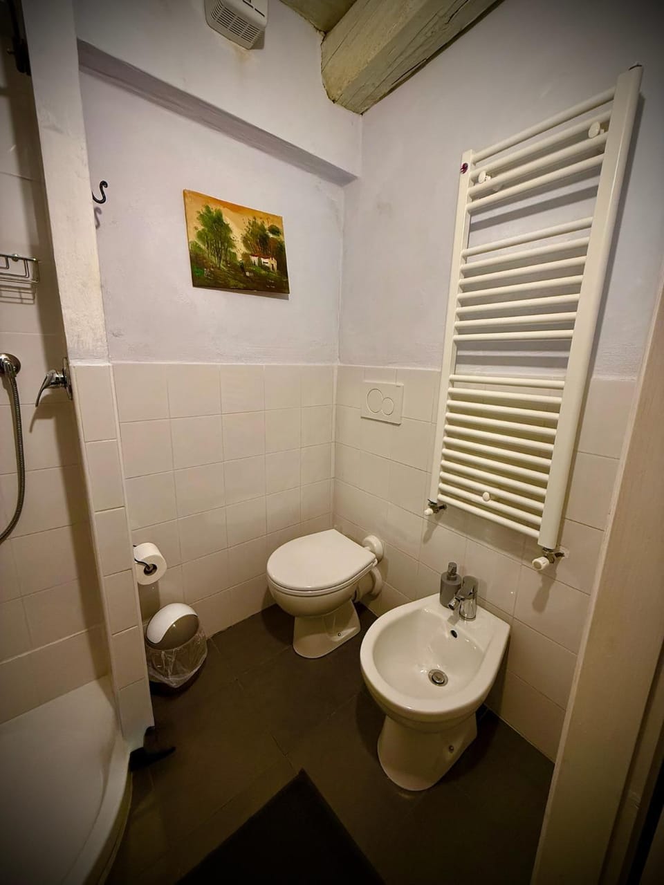 Toilet, Bathroom, bidet