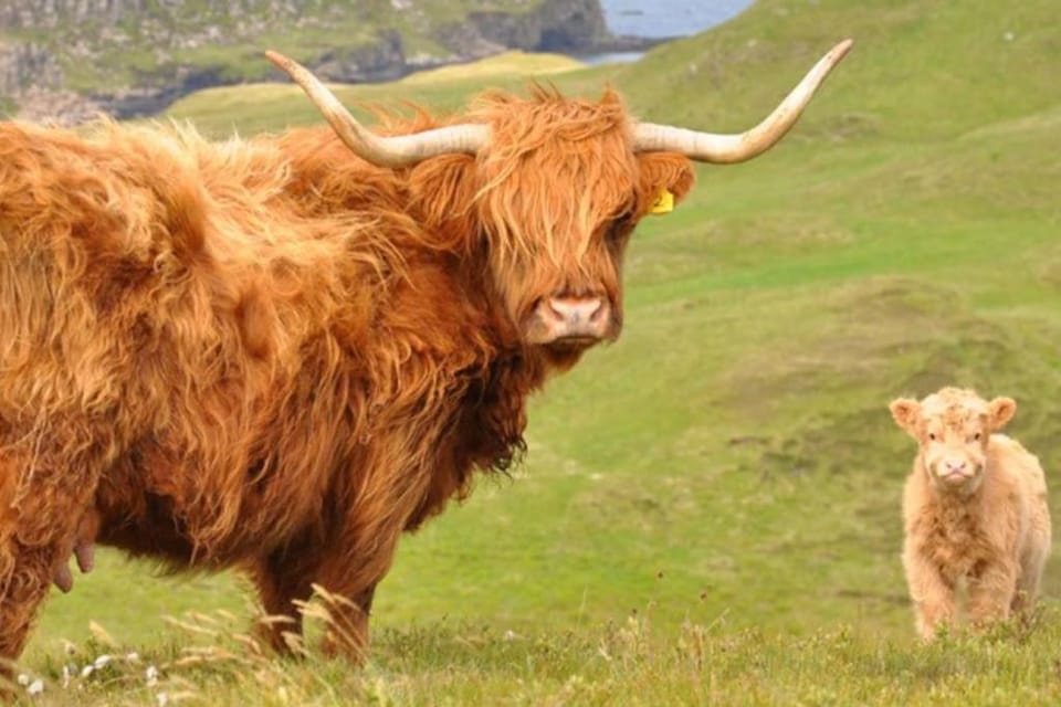 Glas Bheinn Cottage House in Scotland