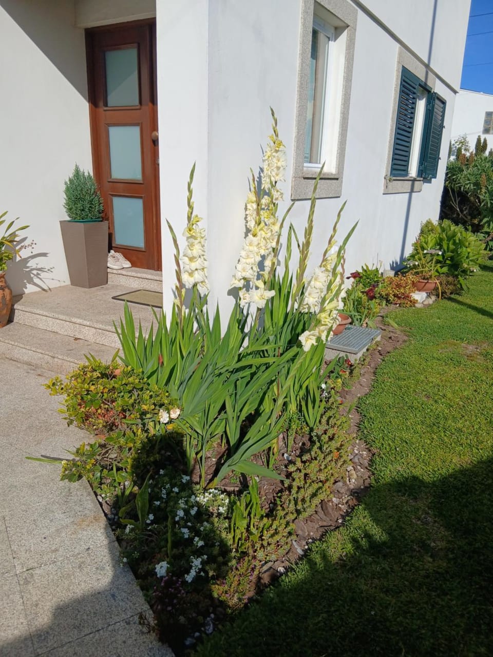 Casa Rural Vacation rental in Portugal