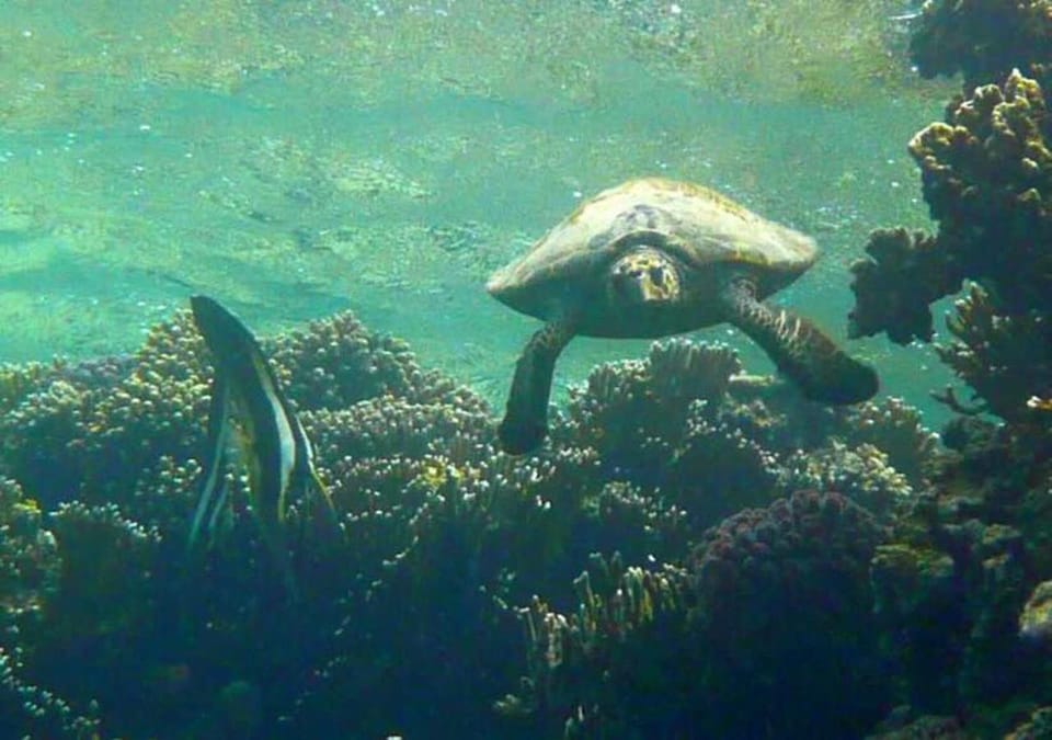 Sharm El Naga Resort and Diving Center Campground/ 
RV Resort in Red Sea Governorate