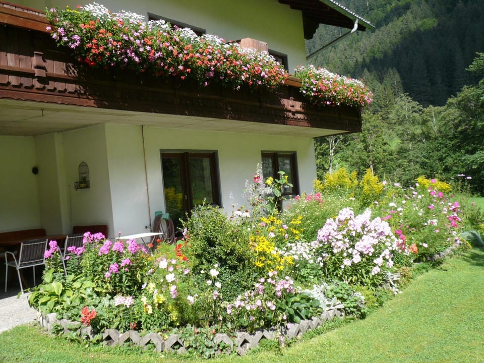 Natural landscape
