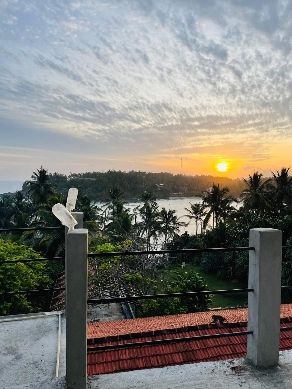 Sea view
