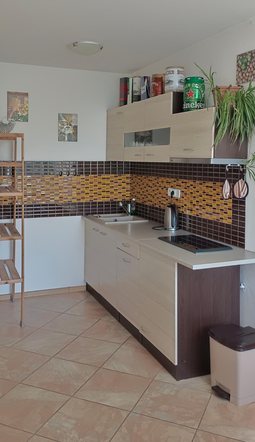 Nocleh na Jihu Vacation rental in South Moravian Region