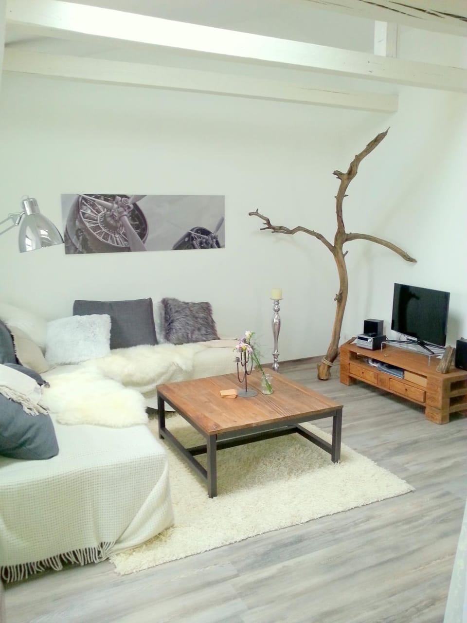 Photo of the whole room