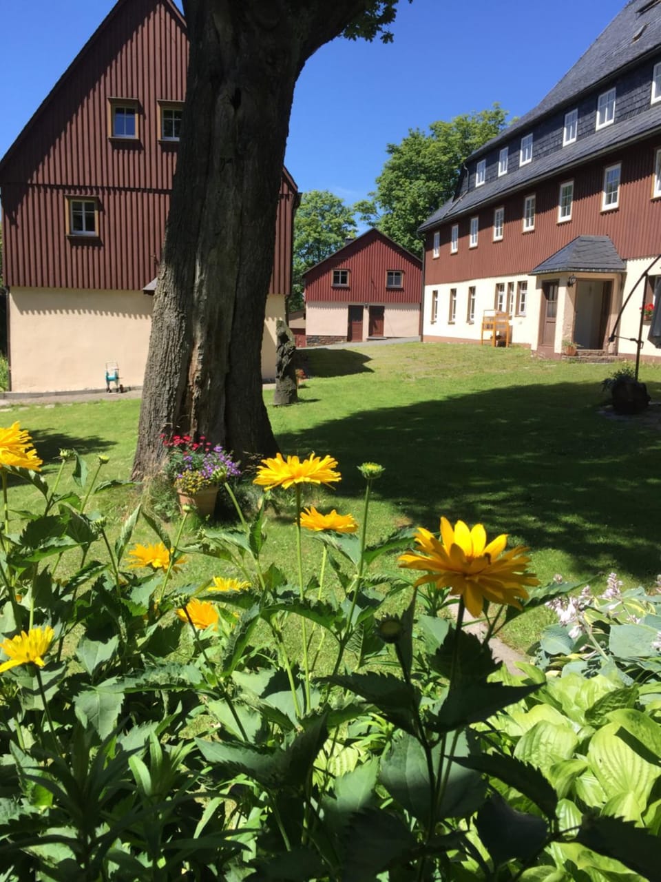Property building, Summer, Garden