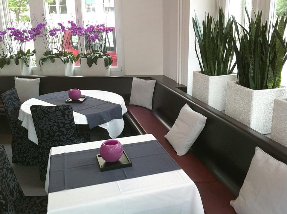 Lounge or bar