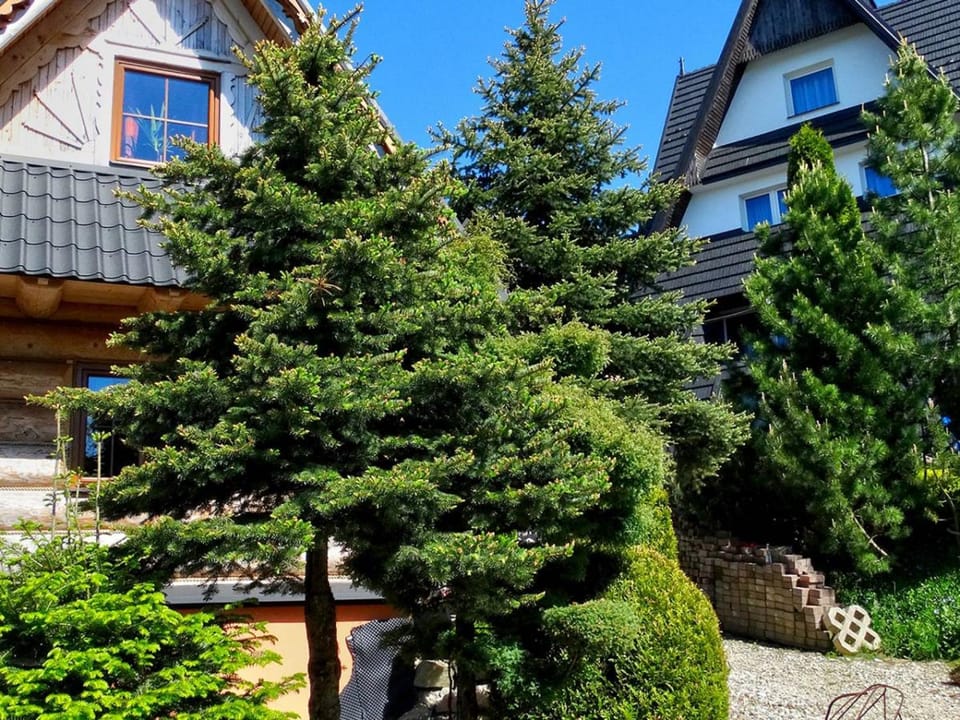 Zbójecko Chata Chalet in Lesser Poland Voivodeship