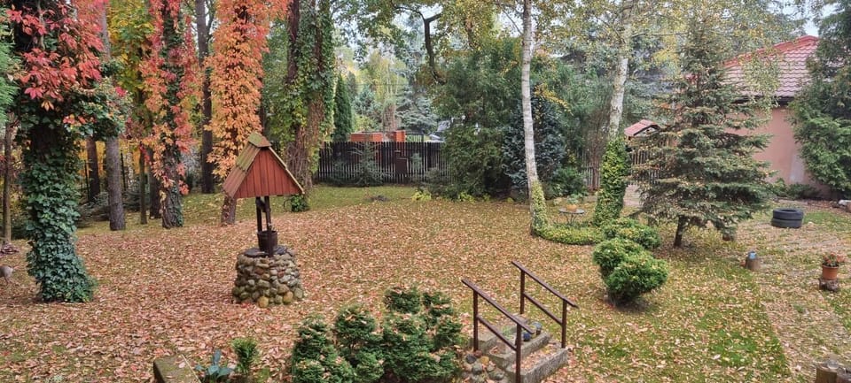 Garden, Garden, Garden view