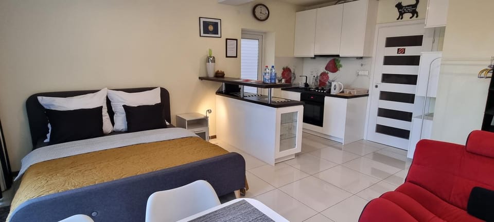 Bed, Kitchen or kitchenette, Living room, Photo of the whole room, Bedroom