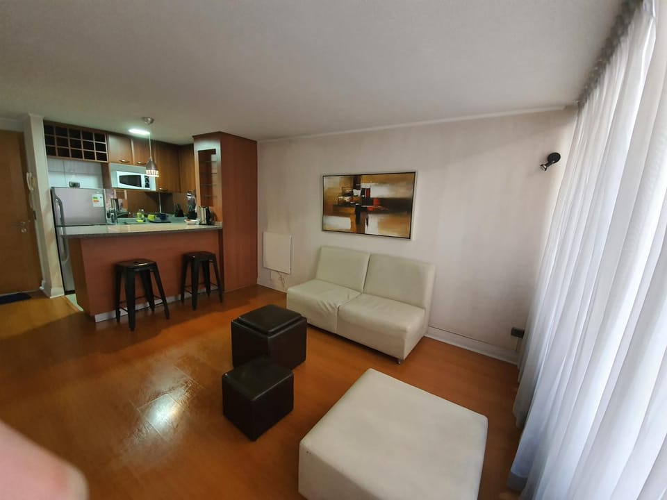 Home Valdivia Providencia Apartment in Providencia