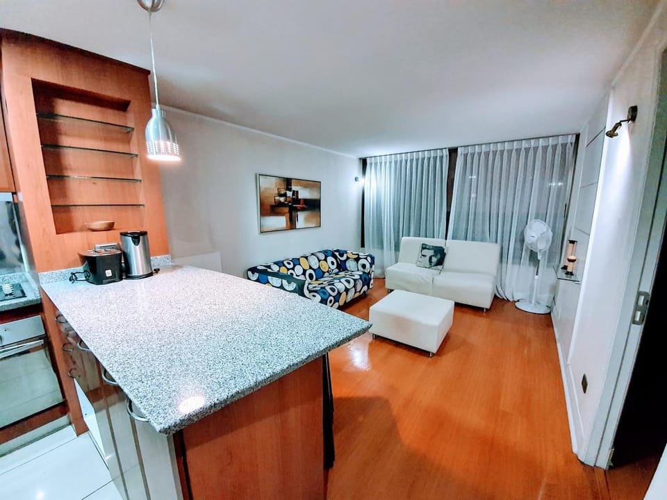 Home Valdivia Providencia Apartment in Providencia